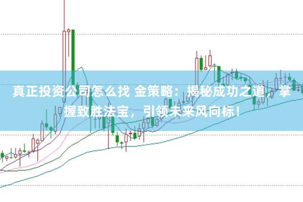 真正投资公司怎么找 金策略：揭秘成功之道，掌握致胜法宝，引领未来风向标！