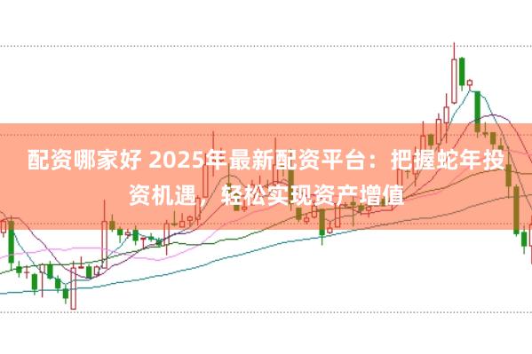 配资哪家好 2025年最新配资平台：把握蛇年投资机遇，轻松实现资产增值