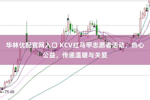 华林优配官网入口 KCV红马甲志愿者活动，热心公益，传递温暖与关爱