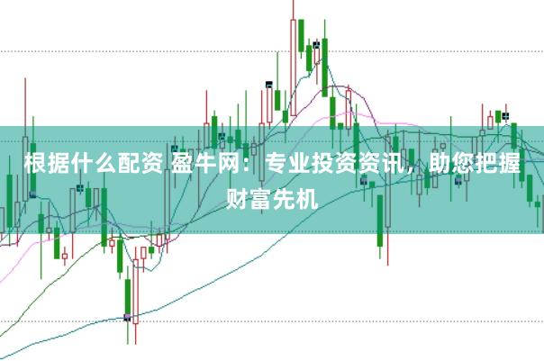 根据什么配资 盈牛网：专业投资资讯，助您把握财富先机