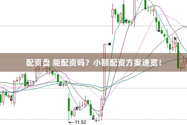 配资盘 能配资吗？小额配资方案速览！