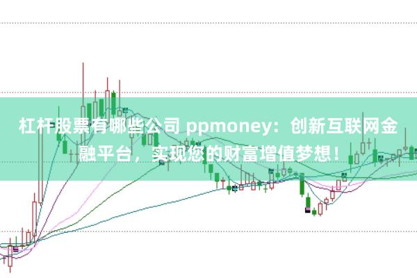 杠杆股票有哪些公司 ppmoney：创新互联网金融平台，实现您的财富增值梦想！