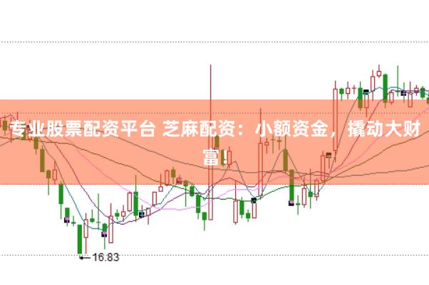 专业股票配资平台 芝麻配资：小额资金，撬动大财富！