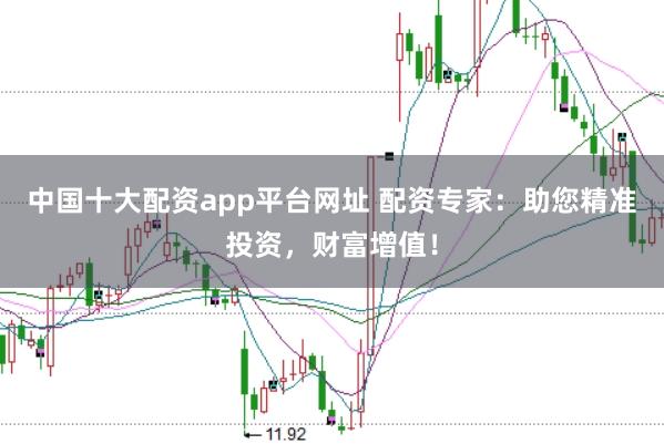 中国十大配资app平台网址 配资专家：助您精准投资，财富增值！