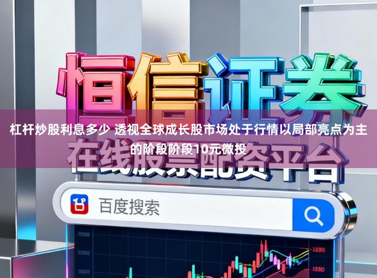 杠杆炒股利息多少 透视全球成长股市场处于行情以局部亮点为主的阶段阶段10元微投